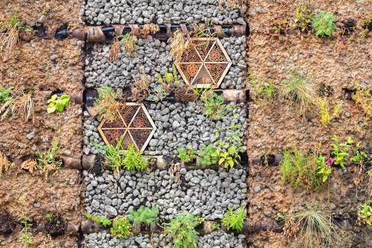 Ecofriendly wall made of loam and clay with plants and insect hotels