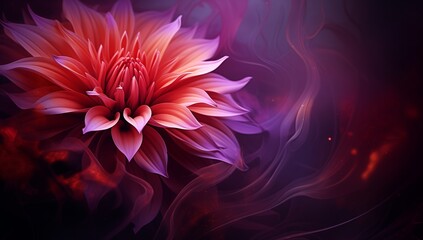 Dark Orange Magenta Flower Wallpaper, Vibrant Blossoms in Spectrum of Bright Hues