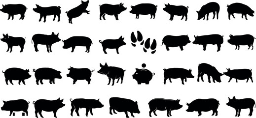 Black pig silhouettes on white background, diverse pigs vector collection. Ideal for agriculture branding, meat store logos, educational materials, and countryside imagery - obrazy, fototapety, plakaty