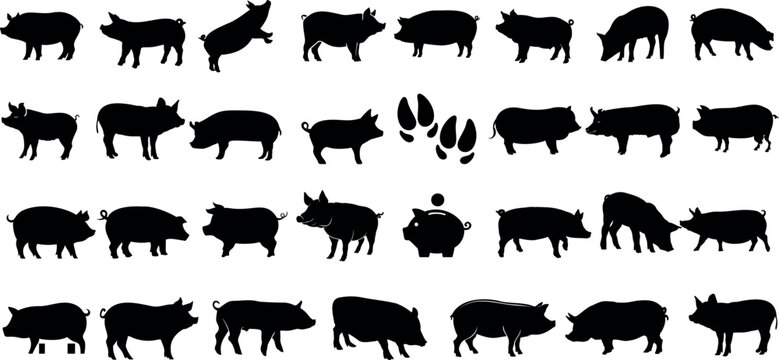 Black pig silhouettes on white background, diverse pigs vector collection. Ideal for agriculture branding, meat store logos, educational materials, and countryside imagery