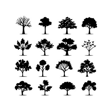  Oak tree black silhouette on a white background. Tree elements to create a natural environment
