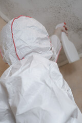 Mold removal. A man cleans mold from a wall using a sprayer and a sponge. Insect and mold removal...