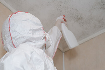 Mold removal. A man cleans mold from a wall using a sprayer and a sponge. Insect and mold removal...