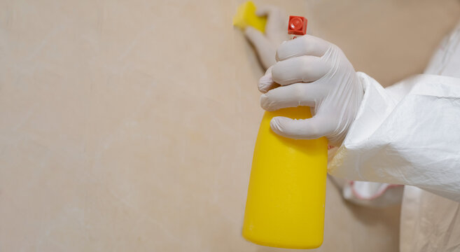 A cleaning service worker removes mold from a wall using a sprayer with mold remediation chemicals, mildew removers and a scraper. Specialist of sanitary and epidemiological service.