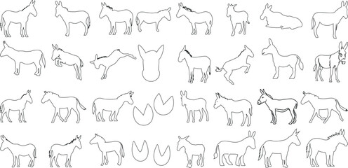 Vector art of donkey outline, perfect donkeys for logo design, brand identity, and pattern creation. Black line drawing of animal illustration in various poses