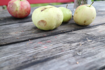 apples on a table in the countryside in summer