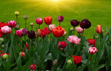 Fototapety na wymiar - Fototapeta24.pl