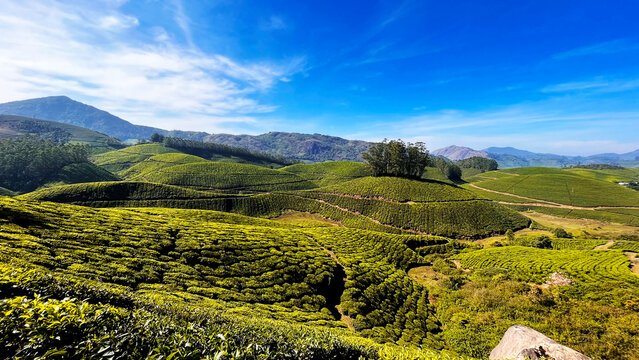 Beautiful Landscape of Kerela
