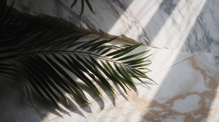The texture of the stone, on which the shadows of palm leaves created with Generative Ai
