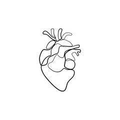 Heart continuous line drawing, isolated vector illustration, human heart small tattoo, print and logo design, single line on white background. 