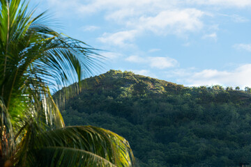 Hills at the beach of the Seychelles.