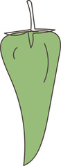 Hand drawn pepper illustration on transparent background.
