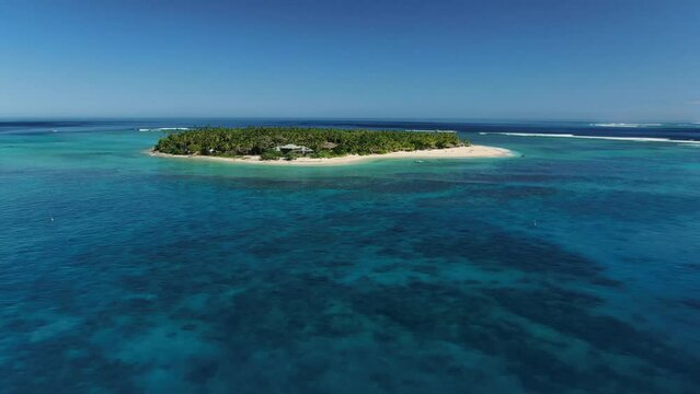 Fijian Island with palm trees