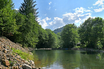Fototapeta na wymiar Beautiful mountain landscape with forest lake.