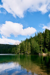 Fototapeta na wymiar Coniferous forest on the shore of a lake against a cloudy sky