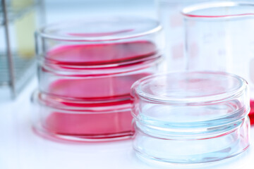 Culture Media in bottle, Culture media used in laboratory