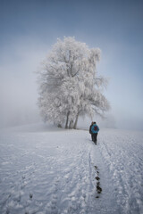 Winter hiking trail near Scheidegg in the Allgäu (Germany) on a day with fog