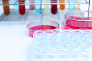 Culture Media in bottle, Culture media used in laboratory