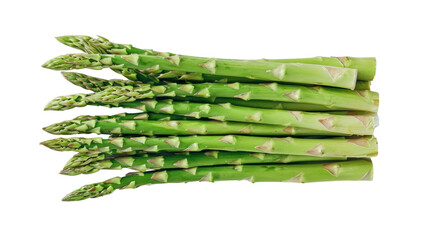 asparagus on a transparent background - Powered by Adobe