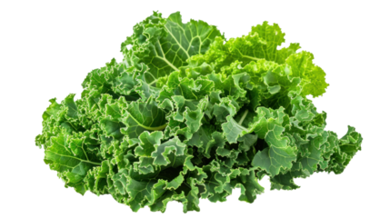 green wavy leaf kale on a transparent background