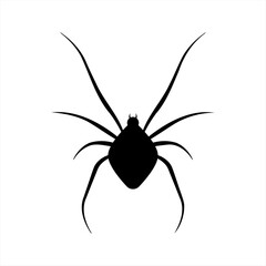 Spider silhouette icon for halloween. Vector illustration.