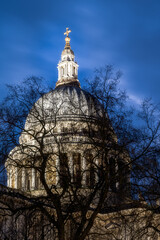 Fototapeta na wymiar St Paul's cathedral dome behind a leafless tree, on a winter night, London, England