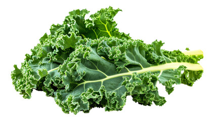 green wavy leaf kale on a transparent background