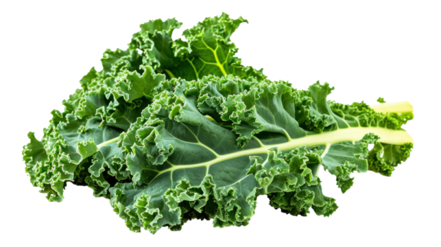green wavy leaf kale on a transparent background