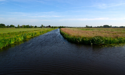 Landscape green meadow and canal with clear water