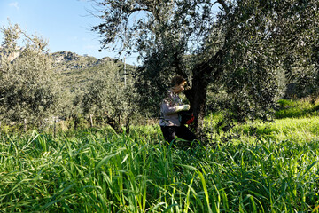 Farmer woman walk fertilizes plants on the farm land for eco-sustainable agriculture with organic fruits and respecting the environment. Concept background green trees. Work in the nature. Fresh air