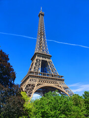 Beneath the Eiffel Tower, a serene scene unfolds with graceful trees, blending urban charm and natural tranquility. A picturesque moment in the heart of Paris