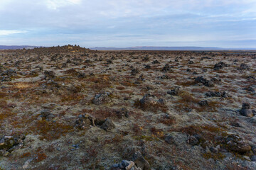 Laufskalavarda lava valley rock formation in Iceland