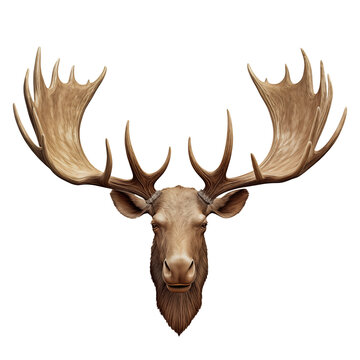 Moose head with antlers isolated on transparent background. Overlay of moose head close-up for insertion. A design element to be inserted into a design or project.