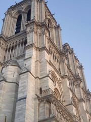 Fototapeta na wymiar Notre Dame Cathedral, an iconic masterpiece of Gothic architecture, stands gracefully against the Parisian skyline, narrating tales of history, faith, and breathtaking beauty