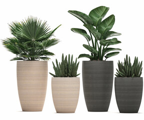 3D digital render of plant in baskets and pots isolated on white background