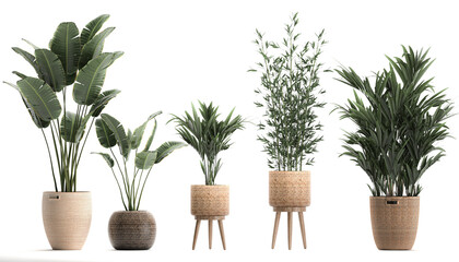 3D digital render of plant in baskets and pots isolated on white background