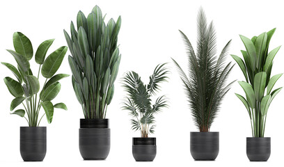 3D digital render of plant in a pot isolated on white background