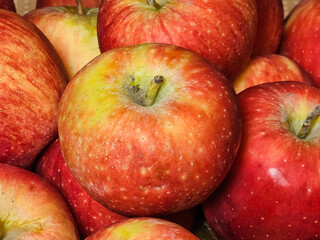 These apples are a feast for the eyes and the palate. Their smooth, glossy skin ranges from vibrant reds and sunny yellows to soft greens and blushing pinks. Each apple is perfectly round.