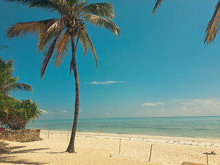 Fototapeta na wymiar palm beach in Zanzibar, Tanzania