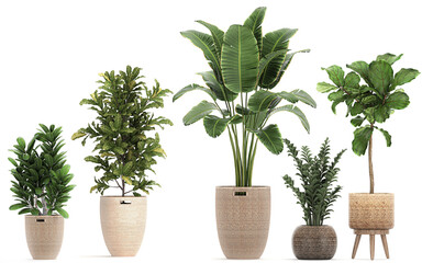 Fototapeta premium 3D digital render of plant in baskets and pots isolated on white background