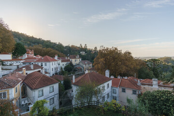 Fototapeta na wymiar Cityscape of houses among autumnal trees in the town of Sintra, Portugal