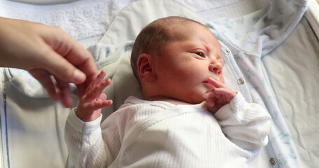 Curious Newborn baby infant first week of life observing world