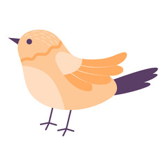 A colorful spring bird. Vector illustration.