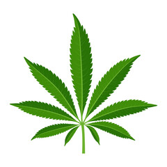 Hemp leaf. Cannabis medical plant. Vector illustration.