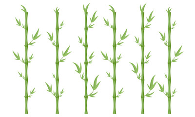Set of bamboo stems. Vector illustration.