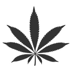 Marijuana sheet silhouette. Hemp. Drug addiction. Vector illustration.