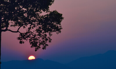 Silhouette branch tree over mountain at sunset.