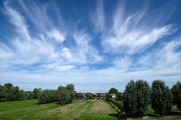 Landscape of green meadow