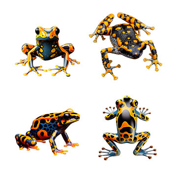 Set of dendrobate frogs