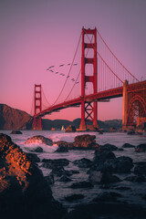 Golden Gate Bridge Sunset Birds - 710021141